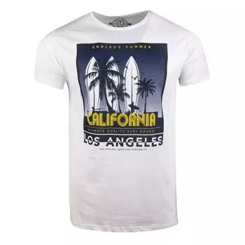 Мужская футболка с принтом мирадор BLAGGIO XL зеленый пастельный