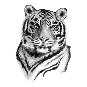 Мужская и женская временная наклейка на руку, поддельная татуировка, горячая 3D водонепроницаемая