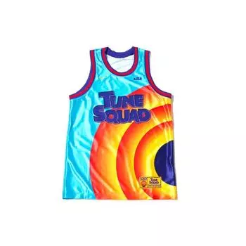 Мужская уличная майка Nike LeBron x Space Jam Tune Squad светло-синяя Fury DJ3864-434 S