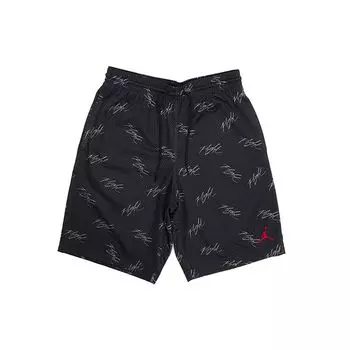 Мужские баскетбольные шорты Air Jordan 5 Flight из сетки с принтом, черные AJ0444-010 S