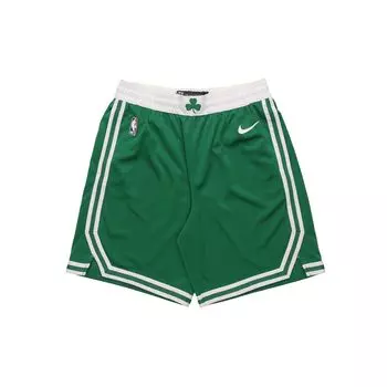 Мужские баскетбольные шорты Nike Boston Celtics Icon Edition Swingman, зеленые AJ5587-312 L