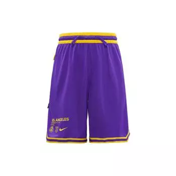 Мужские баскетбольные шорты со средней посадкой Nike Los Angeles Lakers фиолетовые CV5514-504 M