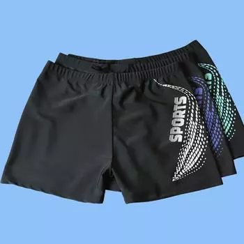 Мужские быстросохнущие плавки из полиэстера с принтом больших размеров SPORTS, 4XL (130-170 catties)