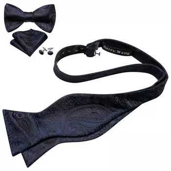 Мужские галстуки-бабочки Barry.Wang, тканые шелковые галстуки-бабочки с узором пейсли, носовой платок, запонки, свадебный формальный галстук LH-1071