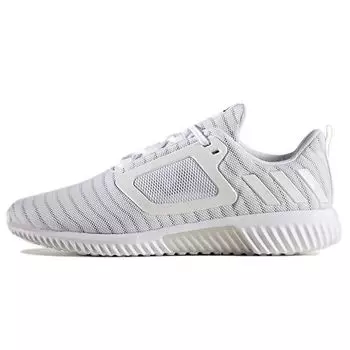 Мужские кроссовки adidas Climacool White Cloud-White Metallic-Silver BB3084 44