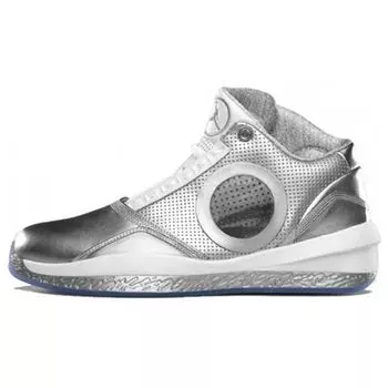 Мужские кроссовки Air Jordan 2010 25th Anniversary Silver Metallic-Silver White 387358-006