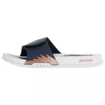 Мужские кроссовки Air Jordan Jordan Hydro 5 Retro Slide Obsidian Metallic Red Bronze Blue White 555501-408
