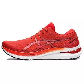 Мужские кроссовки ASICS Gel Kayano 29 Cherry Tomato Red Black 1011B440-800 42