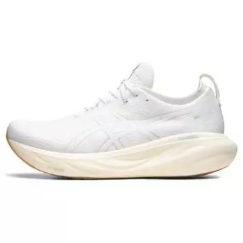 Мужские кроссовки ASICS Gel Nimbus 25 White Silver 1011B547-102 40