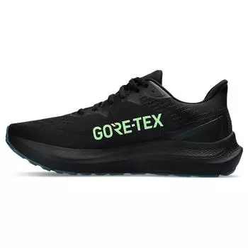 Мужские кроссовки ASICS GT 2000 12 GORE-TEX Black Illuminate Green 1011B687-001 40