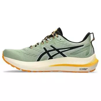 Мужские кроссовки ASICS GT 2000 12 TR Nature Bathing Green Fellow Yellow 1011B775-250 41.5