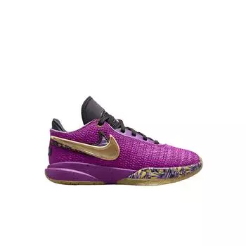 Мужские кроссовки GS Nike LeBron XX SE Vivid Purple FD0207-500