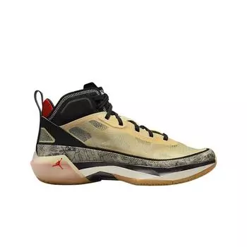 Мужские кроссовки Jordan x Jayson Tatum XXXVII PF Pale Vanilla Black Ivory DZ0811-200