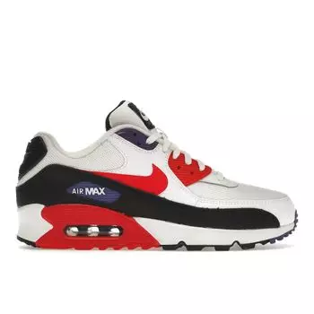 Мужские кроссовки Nike Air Max 90 Essential Raptors Purple White Red-Orbit-Psychic-Purple-Black AJ1285-106