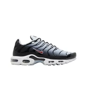 Мужские кроссовки Nike Air Max Plus Black Blue Tint DM0032-008