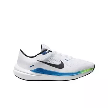 Мужские кроссовки Nike Air Winflo 10 White Star Blue DV4022-103
