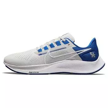 Мужские кроссовки Nike Air Zoom Pegasus 38 Kentucky серые, темно-серебристые, Game-Royal DJ0830-001 43
