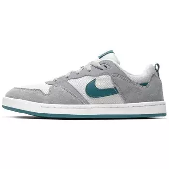 Мужские кроссовки Nike Alleyoop SB Particle Grey Geode Teal CJ0882-003 45