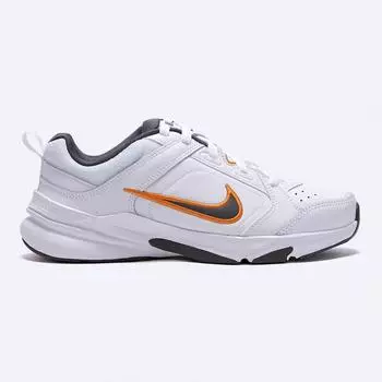 Мужские кроссовки NIKE Defy All Day DJ1196-104