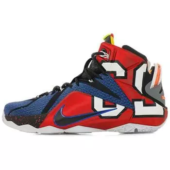 Мужские кроссовки Nike LeBron 12 SE What The LeBron, разноцветные 812511-909