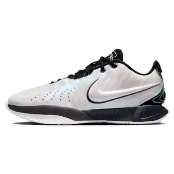 Мужские кроссовки Nike LeBron 21 EP Conchiolin белые черные Bicooastal HF5842-100 36.5