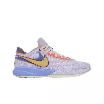 Мужские кроссовки Nike LeBron XX EP Violet Frost DJ5422-500