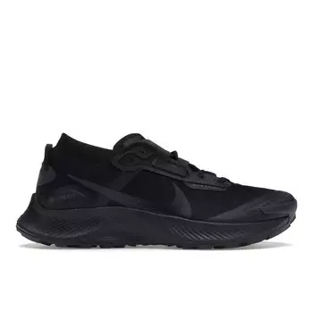 Мужские кроссовки Nike Pegasus Trail 3 GTX Triple Black DC8793-001 39