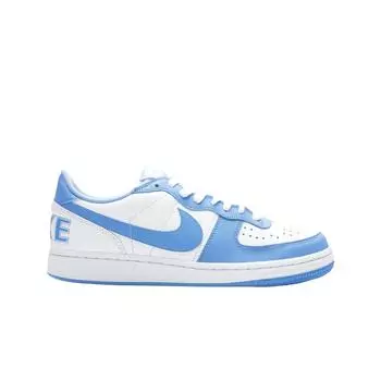 Мужские кроссовки Nike Terminator Low University Blue FQ8748-412