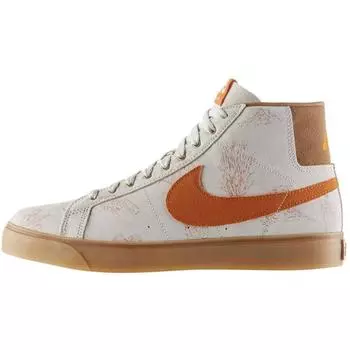 Мужские кроссовки Nike Zoom Blazer Sb Canvas Tan lght-bn tscn-rst-albrwn-gm-lg 647565-022