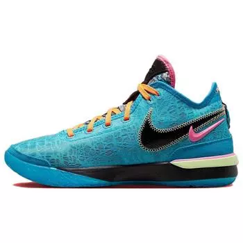 Мужские кроссовки Nike Zoom LeBron NXXT Gen I Promise разноцветные DR8784-900 42