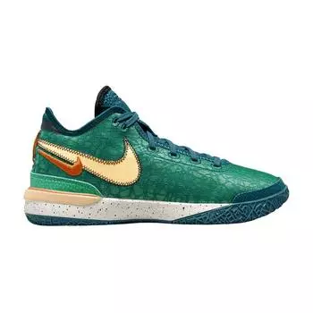 Мужские кроссовки Nike Zoom LeBron NXXT Gen EP Geode Teal Melon-Tint Stadium-Green Campfire-Orange DR8788-301 42
