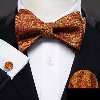 Мужские крутые галстуки-бабочки Barry.Wang, комплект запонок в клетку с узором пейсли в полоску из шелкового галстука-бабочки LH-1017