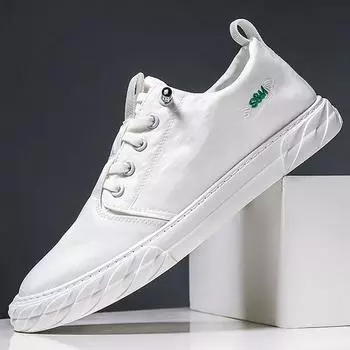 Мужские парусиновые туфли Весна и лето Мужские повседневные тканевые туфли Дышащие маленькие белые туфли Мужские одинарные туфли Ленивые туфли Летние интернет-знаменитости 39