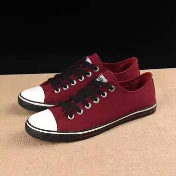 Мужские плоские парусиновые туфли на плоской подошве, повседневные, со шнуровкой, для ходьбы, студенческие кроссовки 39 белый