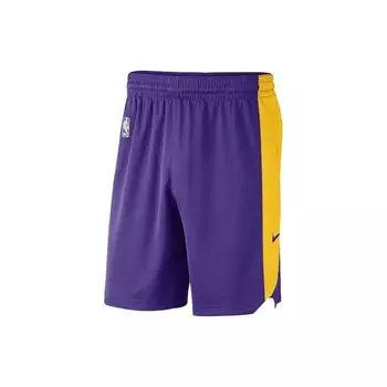 Мужские шорты Nike НБА Лос-Анджелес Лейкерс фиолетовые AJ5078-504 L