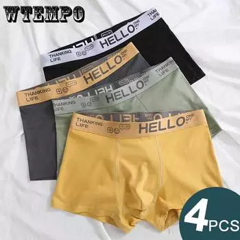 Мужские трусы больших размеров 5XL, свободные штаны, дышащие трусы-боксеры для мальчиков, шорты-боксеры для подростков 4XL