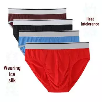 Мужские трусы большого размера из модала и бамбука - дышащий ледяной шелк, летние тонкие 2xL (120-140 catties) красный