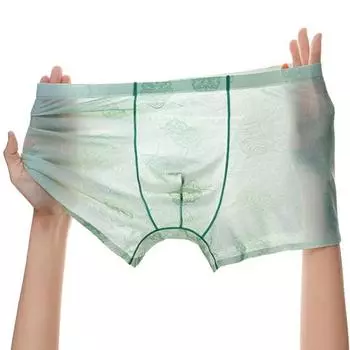Мужское нижнее белье боксеры с низкой посадкой, прозрачные тонкие шорты, трусы с прозрачной вышивкой, кружевом, узором совы, U-выпуклое нижнее белье L циан