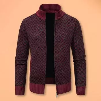 Мужское трикотажное пальто с воротником-стойкой, длинным рукавом, застежкой-молнией и карманами, в клетку M светло-серый