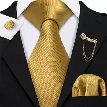 Мужской галстук-брошь Barry.Wang, носовой платок, запонки, шелковый галстук, набор для свадебной вечеринки, свиданий N-5244