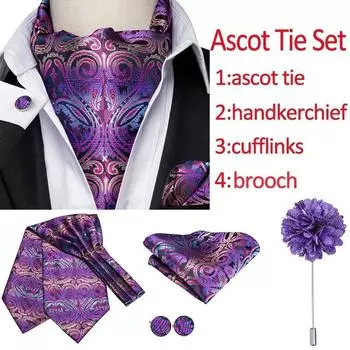 Мужской комплект галстуков Hi-Tie Ascot, шелковый фиолетовый галстук с узором пейсли и носовой платок, запонки, брошь AS-1005