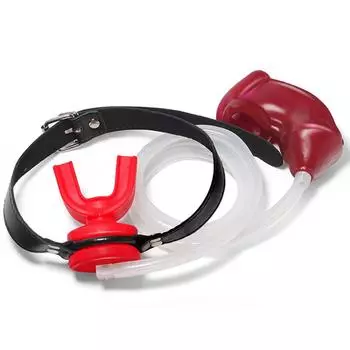 Мужской силиконовый кляп для мочеиспускания Smsexy U-образный кляп Zhang Ball Gag для парных прелюдий секс-игрушки для взрослых Red Ball Gag+Red Ferrule
