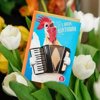 Музыкальная открытка на день рождения Забавный танец цыпленка с аккордеоном Движение Подарок на день рождения для детей