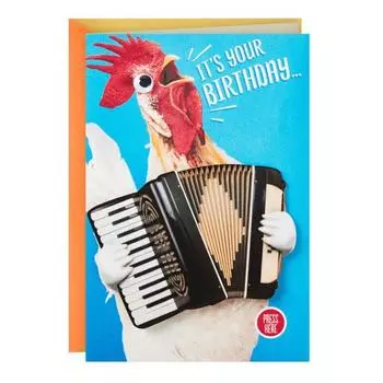 Музыкальная открытка на день рождения Забавный танец цыпленка с аккордеоном Движение Подарок на день рождения для детей и взрослых Chick