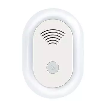 Мышь и бытовой ночник-инвертор насекомое