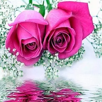 Набор для алмазной живописи Цветок 5D Алмазная картина Рукоделие Алмазная картина Полная дрель 20*20cm