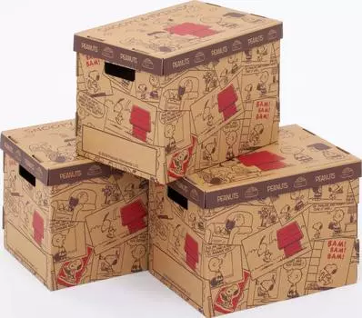 Набор для хранения Astro Snoopy, подходит для формата A4 и журналов, сделано с основанием и коробкой с номером продукта, 3, формат A4 (Женский размер), Япония, Картон, Крышка, 900-31