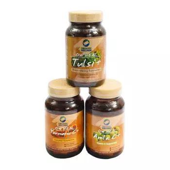 Набор для оздоровления организма (90 + 90 + 90 кап), Turmeric Amla Tulsi, Organic Wellness