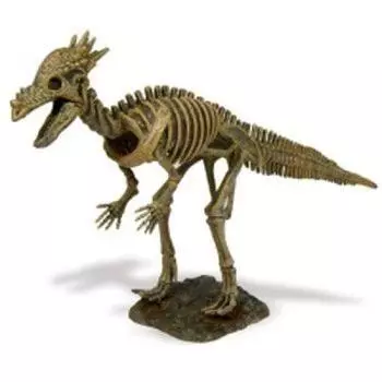 Набор для раскопок скелета динозавра Stygimoloch