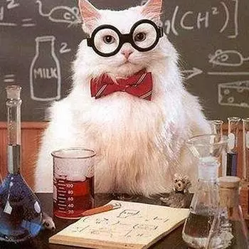 Набор для вышивки крестом DIY Алмазная вышивка Профессор котенок Алмазная картина Мозаика Домашний декор 30X30CM